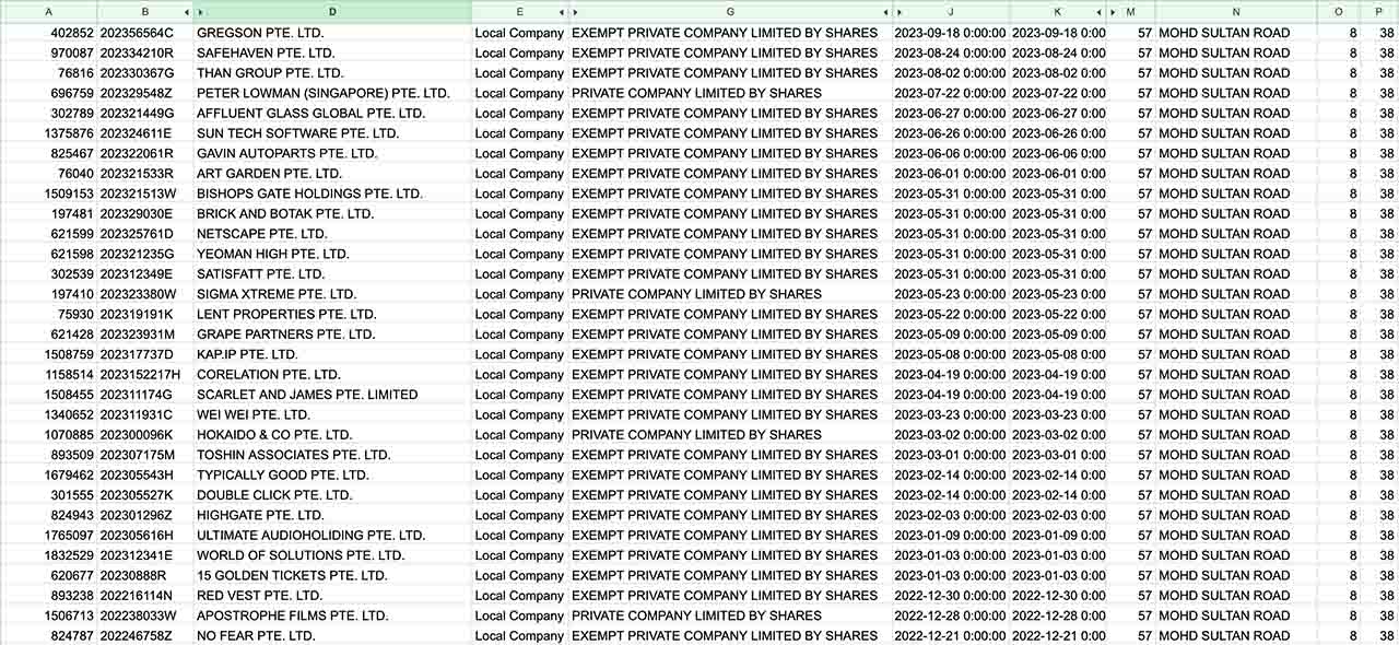 AddressAlert Excel report showing full entity data with yellow-highlighted new registrations