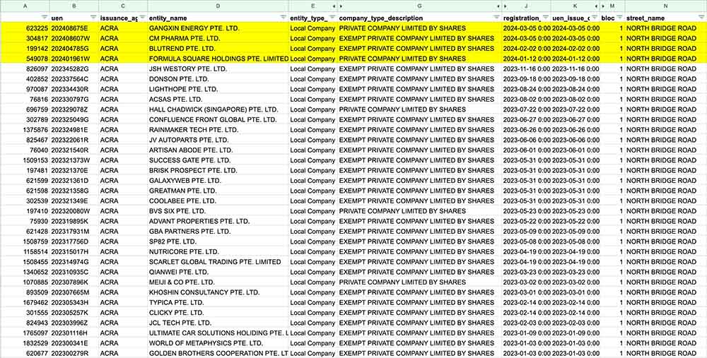 Detailed view of AddressAlert Excel report showing all entity data fields